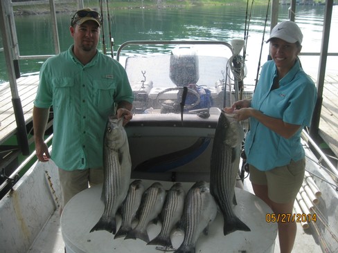 Nice Striped Bass